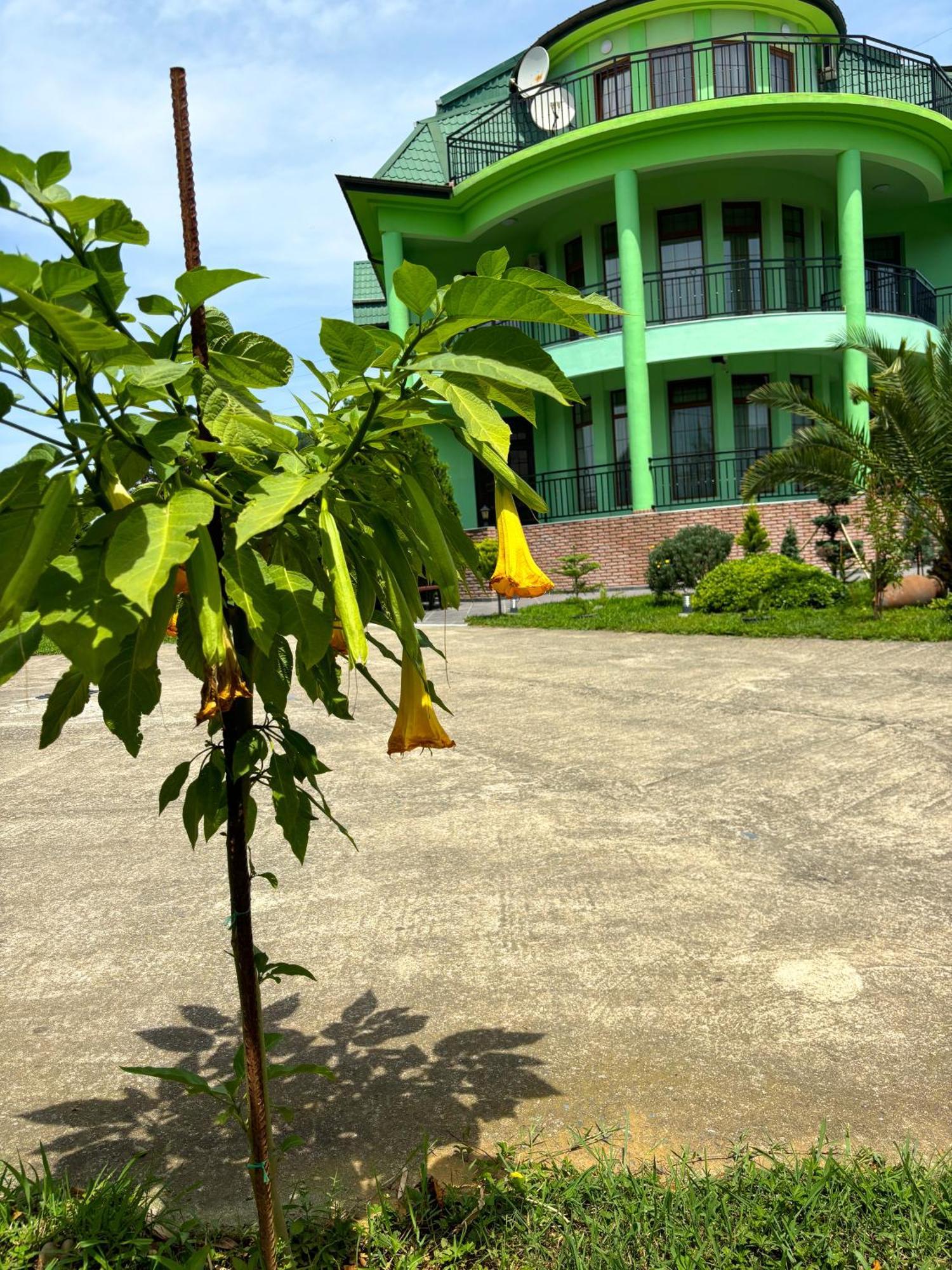 Villa Qero Batumi Exterior foto